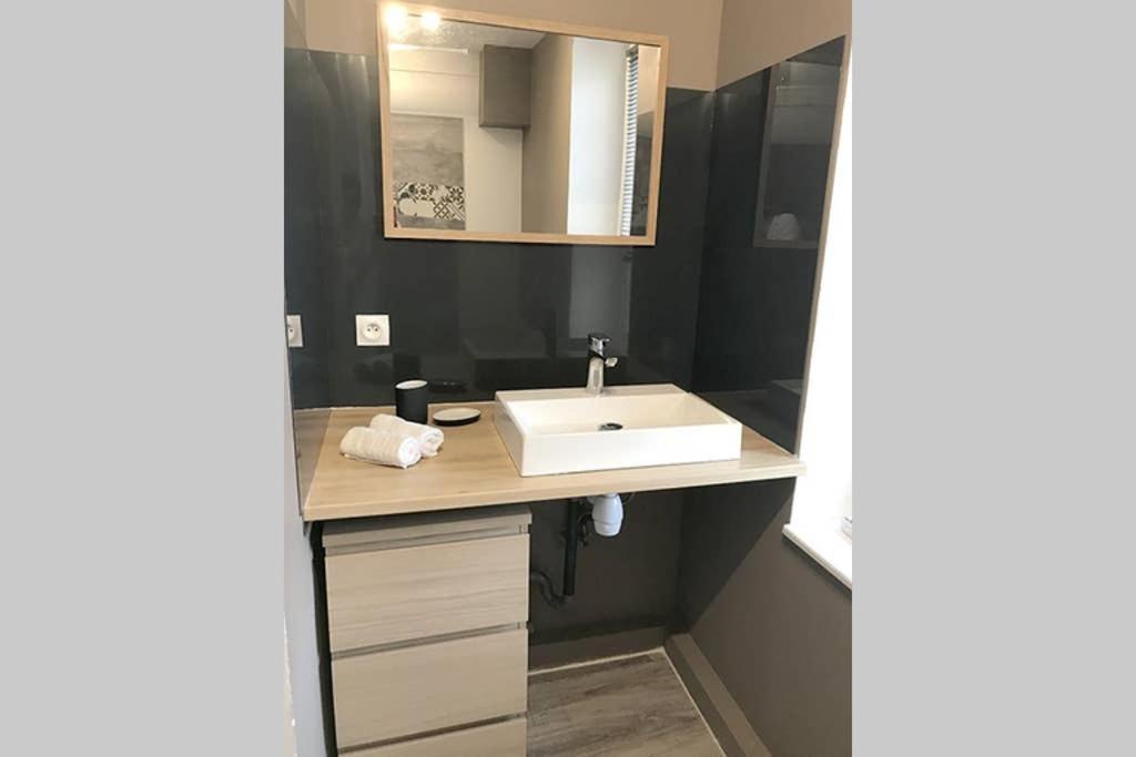 Annonay Centre, Grand Appartement Cosy, 3 Chambres Екстериор снимка