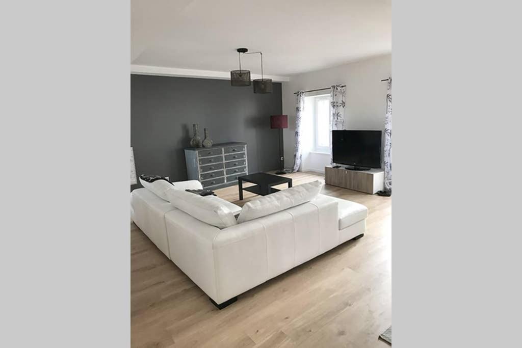 Annonay Centre, Grand Appartement Cosy, 3 Chambres Екстериор снимка