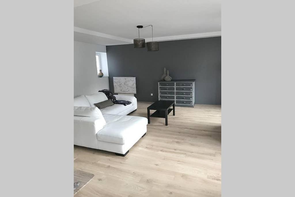 Annonay Centre, Grand Appartement Cosy, 3 Chambres Екстериор снимка